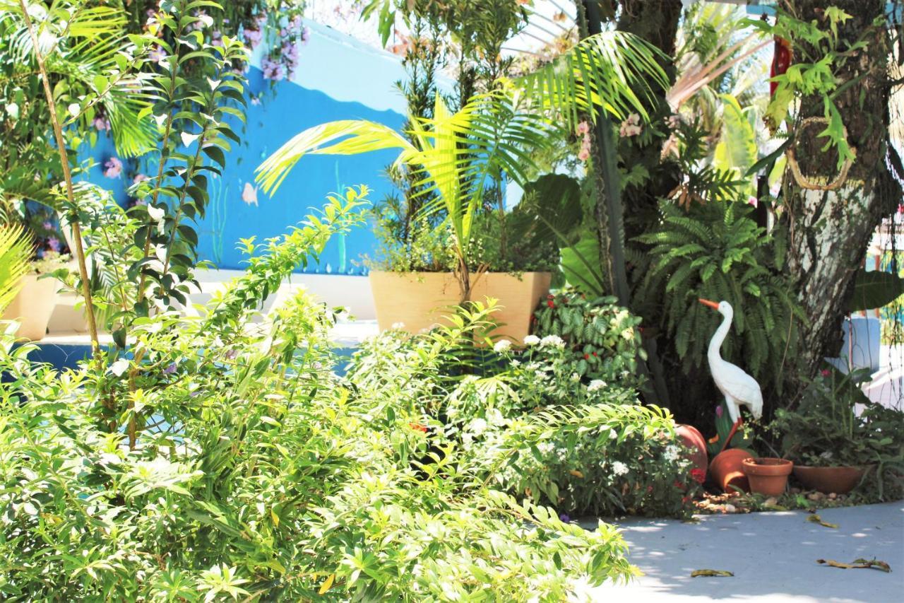 Porto Bahia Hotel Porto Seguro Esterno foto